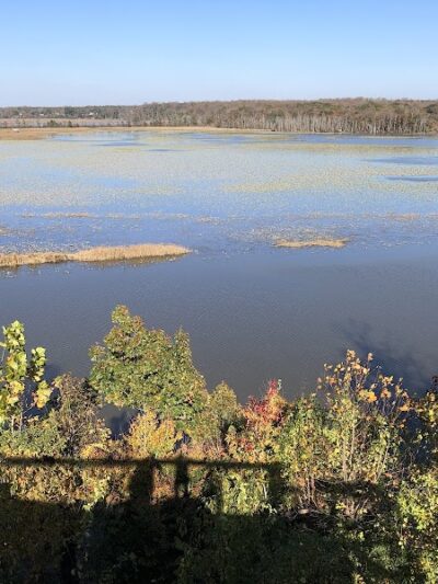 Jug Bay Wetlands Sanctuary - Lothian, MD