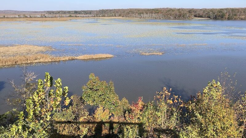 Jug Bay Wetlands Sanctuary - Lothian, MD