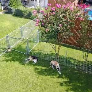 Poindexter Park - Louisa, VA