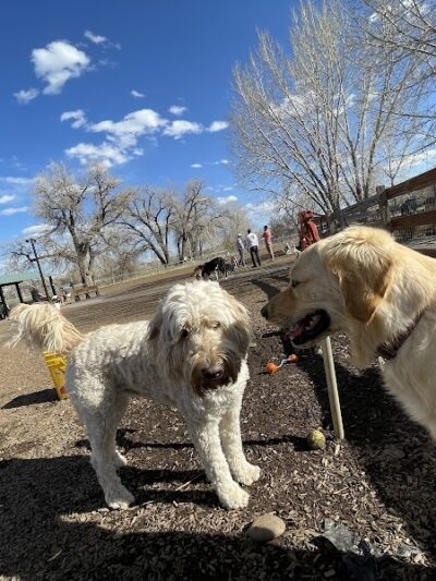 Dog Park at Fairgrounds Park - Loveland, CO