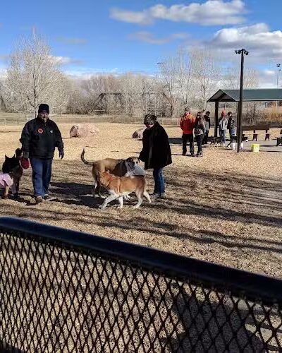 Dog Park at Fairgrounds Park - Loveland, CO