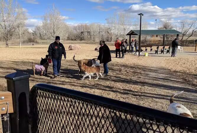 Dog Park at Fairgrounds Park - Loveland, CO