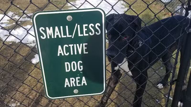 Animal Hospital of Lowell Dog Park - Lowell, MI
