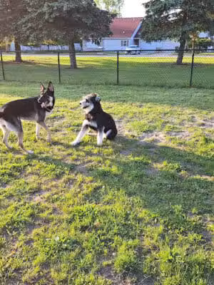 Stoney Lakeside Park and Dog Park - Lowell, MI