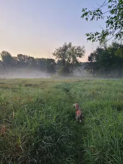 NCT - North Country Trail head - Lowell,