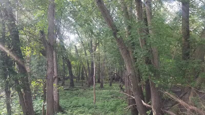 Stoney Lakeside Park and Dog Park - Lowell, MI