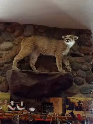 Lower Brule Wildlife - Lower Brule, SD