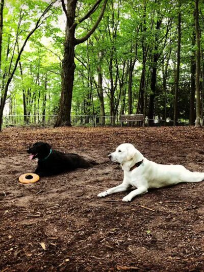 Ludington's Central Bark Park - Ludington, MI