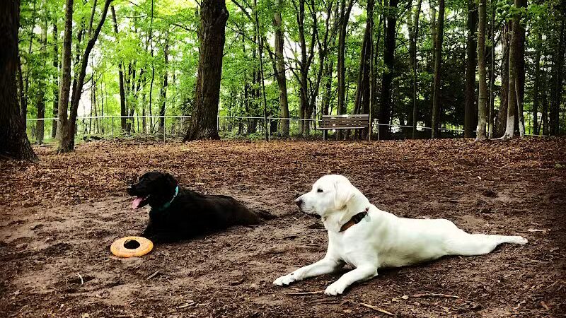 Ludington's Central Bark Park - Ludington, MI