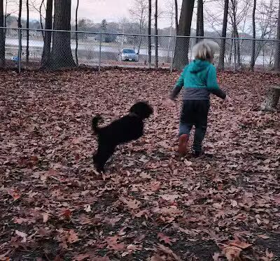 Ludington's Central Bark Park - Ludington, MI