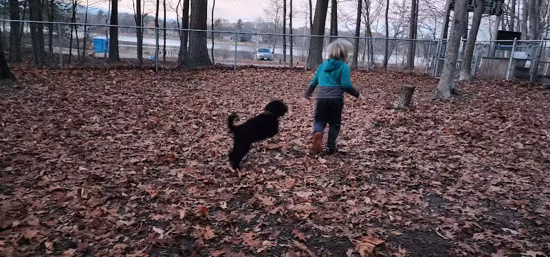 Ludington's Central Bark Park - Ludington, MI