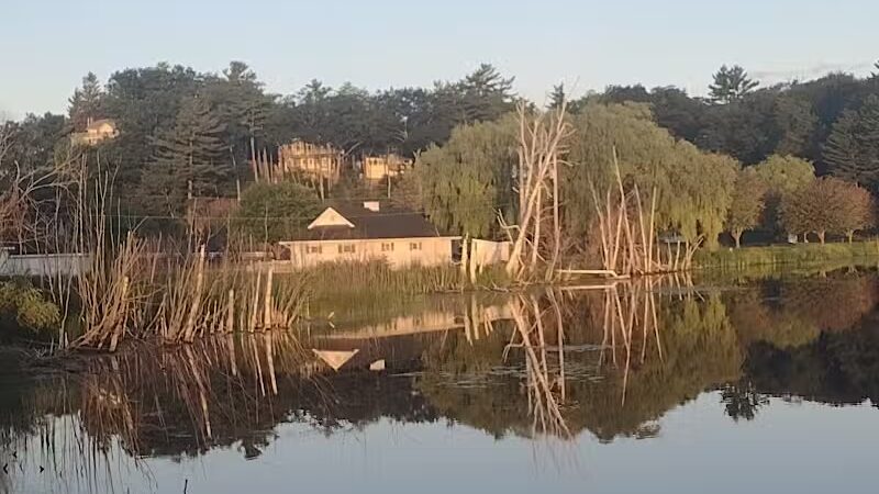 Ludington's Central Bark Park - Ludington, MI