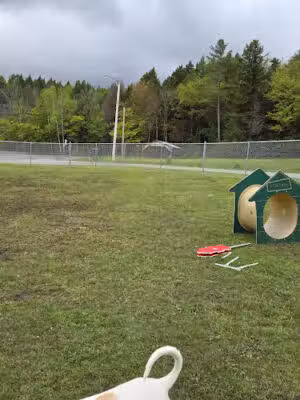 Ludlow Dog Park - Ludlow, VT