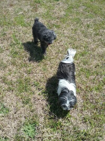 Kershaw County: West Complex - Lugoff, SC