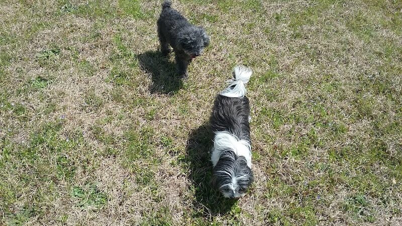 Kershaw County: West Complex - Lugoff, SC