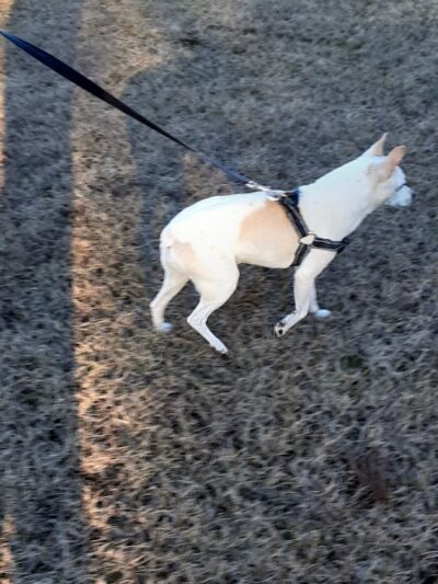 Kershaw County: West Complex - Lugoff, SC