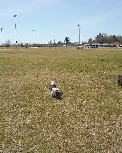 Kershaw County: West Complex - Lugoff, SC