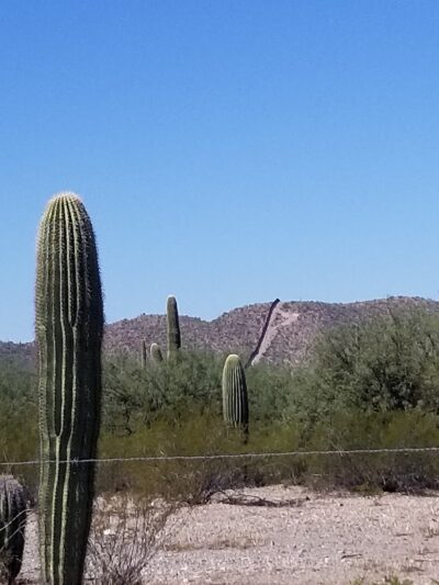 US Customs and Border Protection - Lukeville Port of Entry - Lukeville, AZ