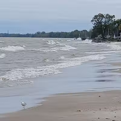 Water Tower Park - Luna Pier,