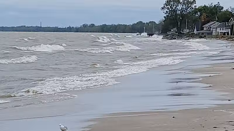 Water Tower Park - Luna Pier,