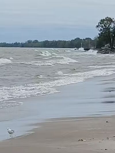 Water Tower Park - Luna Pier,