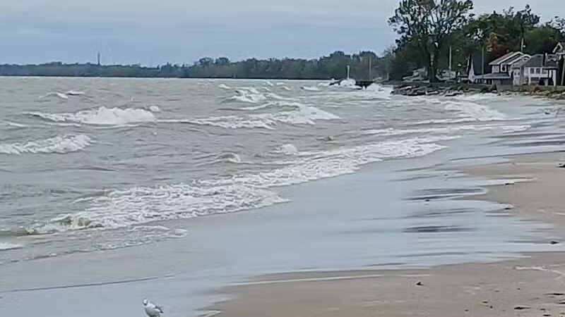 Water Tower Park - Luna Pier,