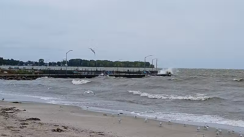 Water Tower Park - Luna Pier,
