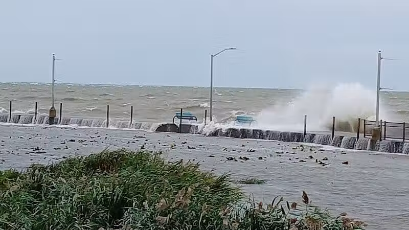 Water Tower Park - Luna Pier,