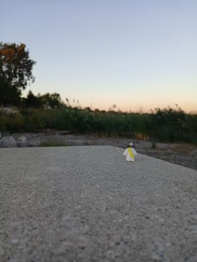 Water Tower Park - Luna Pier,