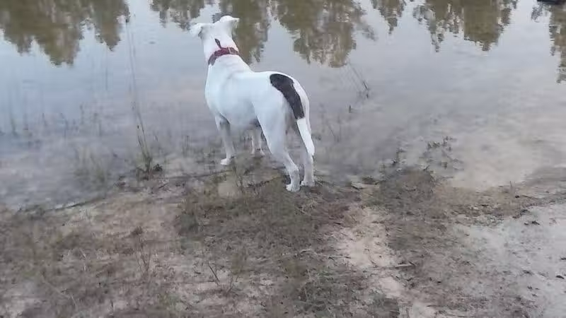 Lost Valley Campground - Lupton,