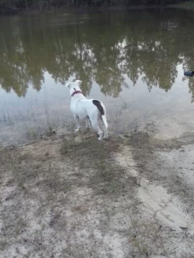 Lost Valley Campground - Lupton,