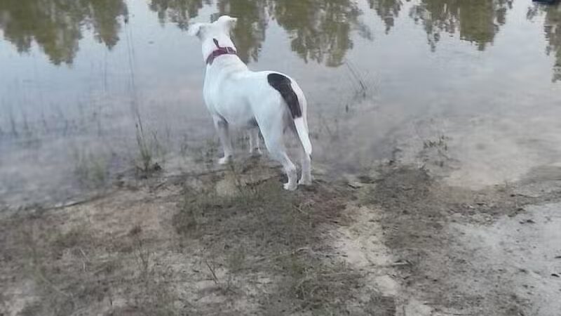 Lost Valley Campground - Lupton,