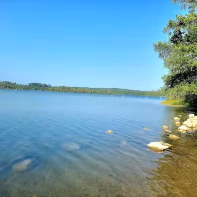 Rifle River Recreation Area - Lupton,