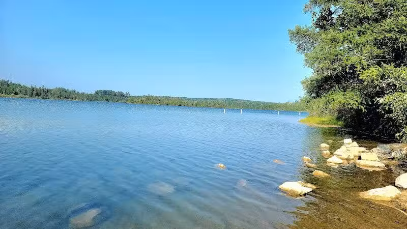 Rifle River Recreation Area - Lupton,