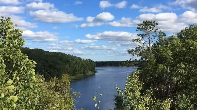Rifle River Recreation Area - Lupton,