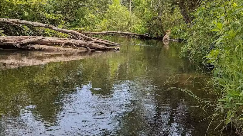 Rifle River Recreation Area - Lupton,