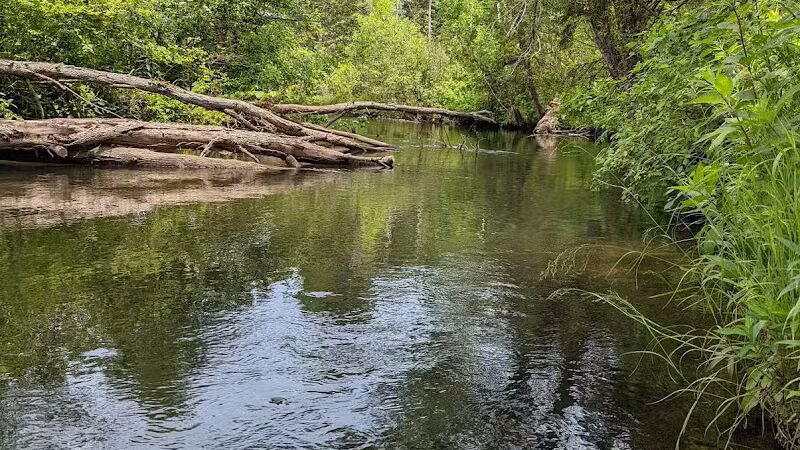 Rifle River Recreation Area - Lupton,
