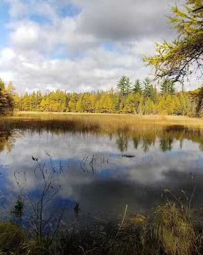 Rifle River Recreation Area - Lupton,