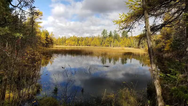 Rifle River Recreation Area - Lupton,
