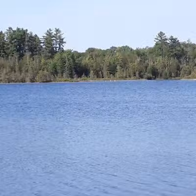 Rifle River Recreation Area - Lupton,