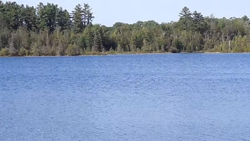 Rifle River Recreation Area - Lupton,