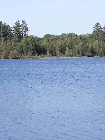 Rifle River Recreation Area - Lupton,