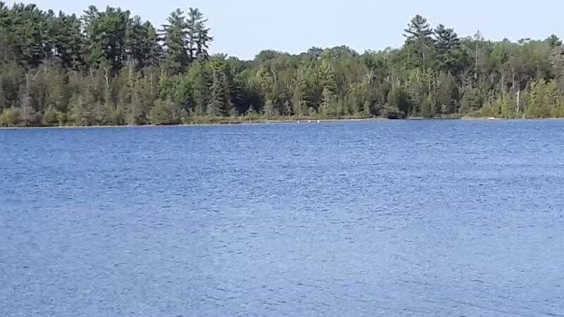 Rifle River Recreation Area - Lupton,