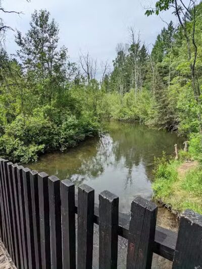 Rifle River Recreation Area - Lupton,