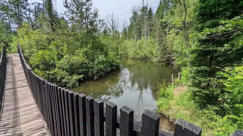 Rifle River Recreation Area - Lupton,