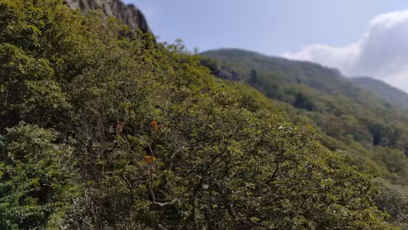 Lake Arrowhead Park and Recreation Area - Luray, VA