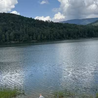 Lake Arrowhead Park and Recreation Area - Luray, VA