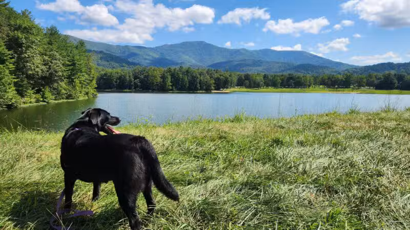 Lake Arrowhead Park and Recreation Area - Luray, VA