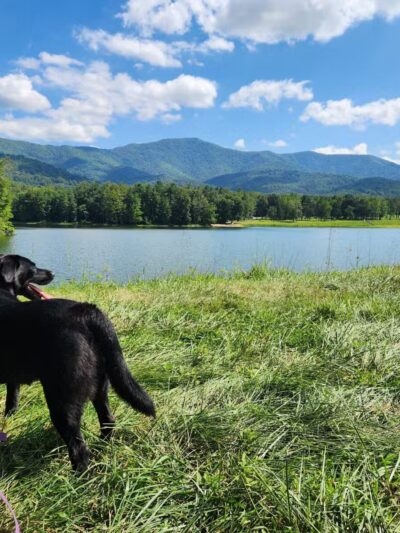 Lake Arrowhead Park and Recreation Area - Luray, VA