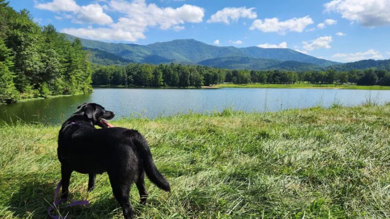 Lake Arrowhead Park and Recreation Area - Luray, VA